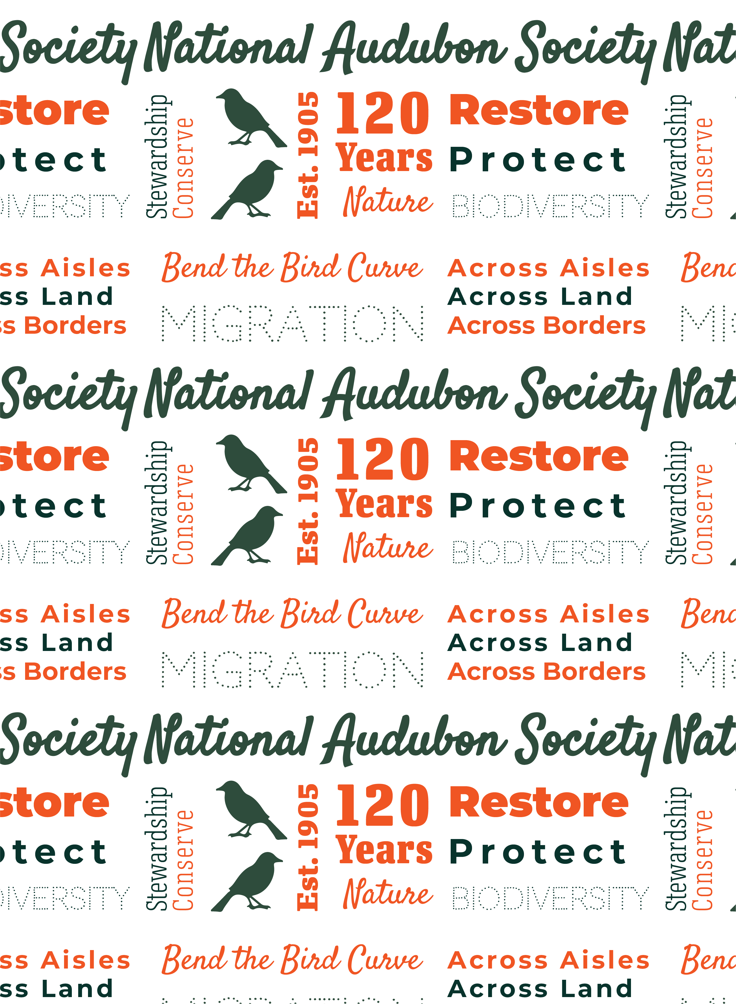 National Audubon Society Type Pattern