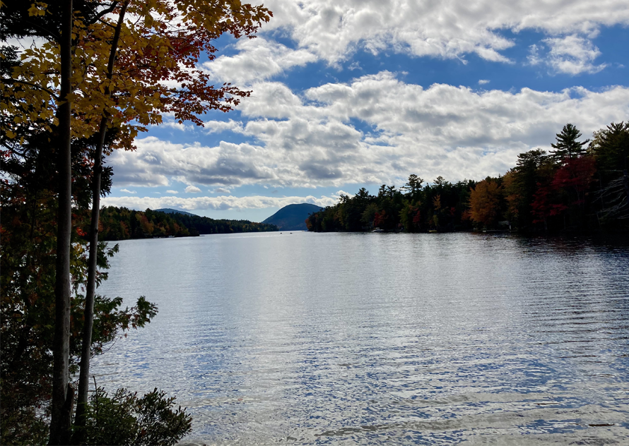 Maine lake scene