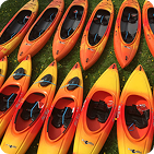 rows of orange kayaks